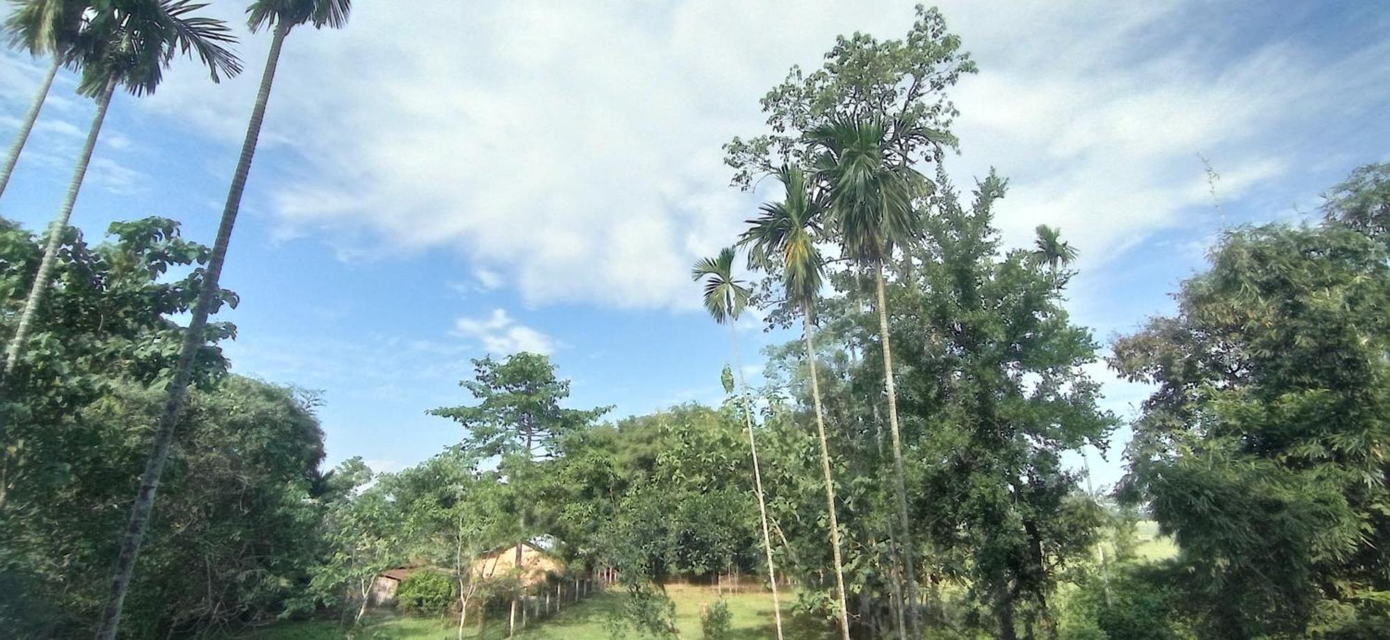 Hotel Kaziranga Holidays Luaran gambar